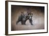 Young Grizzly Bear-Jai Johnson-Framed Giclee Print