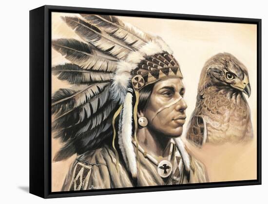 Young Hawk-unknown Ampel-Framed Stretched Canvas