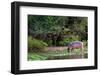 Young Hippo Feeding on River Bank; Hippopotamus Amphibius-Johan Swanepoel-Framed Photographic Print