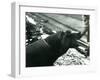 Young Hippopotamus 'Bobbie' with a Keeper at London Zoo, September 1920-Frederick William Bond-Framed Photographic Print