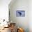 Young Humpback Whale Breaching in Frederick Sound-Paul Souders-Mounted Photographic Print displayed on a wall