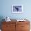 Young Humpback Whale Breaching in Frederick Sound-Paul Souders-Framed Photographic Print displayed on a wall