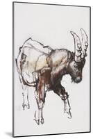 Young Ibex, Gran Paradiso, 2005-Mark Adlington-Mounted Giclee Print