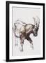 Young Ibex, Gran Paradiso, 2005-Mark Adlington-Framed Giclee Print