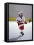 Young Ice Hockey Player in Action-null-Framed Stretched Canvas