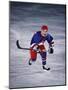 Young Ice Hockey Player in Action-null-Mounted Photographic Print