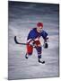 Young Ice Hockey Player in Action-null-Mounted Photographic Print