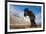 Young Icelandic Horse Near Stokkness, Iceland, March-Niall Benvie-Framed Photographic Print