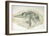 Young Ichthyosaurus from Lyme Regis-English School-Framed Giclee Print