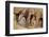 Young Indian Asian Elephants, Corbett National Park, India-Jagdeep Rajput-Framed Photographic Print