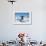 Young Inuit Boy Jumping over a Crack on Ice Floe, Ellesmere Island, Nanavut, Canada, June 2012-Eric Baccega-Framed Photographic Print displayed on a wall