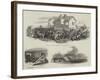 Young Ireland in County Kilkenny-null-Framed Giclee Print