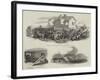 Young Ireland in County Kilkenny-null-Framed Giclee Print