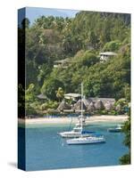 Young Island Resort, St. Vincent and the Grenadines, Windward Islands, West Indies, Caribbean-Michael DeFreitas-Stretched Canvas