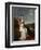 Young Lady (Oil on Panel)-Adele Romany-Framed Giclee Print