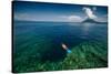 Young Lady Snorkeling over the Reef Wall in the Area of the Island of Bunaken, Sulawesi, Indonesia-Dudarev Mikhail-Stretched Canvas