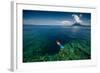 Young Lady Snorkeling over the Reef Wall in the Area of the Island of Bunaken, Sulawesi, Indonesia-Dudarev Mikhail-Framed Photographic Print