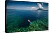 Young Lady Snorkeling over the Reef Wall in the Area of the Island of Bunaken, Sulawesi, Indonesia-Dudarev Mikhail-Stretched Canvas