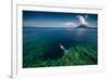 Young Lady Snorkeling over the Reef Wall in the Area of the Island of Bunaken, Sulawesi, Indonesia-Dudarev Mikhail-Framed Photographic Print