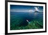 Young Lady Snorkeling over the Reef Wall in the Area of the Island of Bunaken, Sulawesi, Indonesia-Dudarev Mikhail-Framed Photographic Print