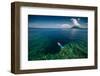 Young Lady Snorkeling over the Reef Wall in the Area of the Island of Bunaken, Sulawesi, Indonesia-Dudarev Mikhail-Framed Photographic Print