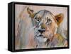 Young Lion in the Grass, 2020, (oil on canvas)-Mark Adlington-Framed Stretched Canvas