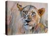 Young Lion in the Grass, 2020, (oil on canvas)-Mark Adlington-Stretched Canvas