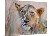 Young Lion in the Grass, 2020, (oil on canvas)-Mark Adlington-Mounted Giclee Print