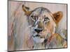 Young Lion in the Grass, 2020, (oil on canvas)-Mark Adlington-Mounted Giclee Print