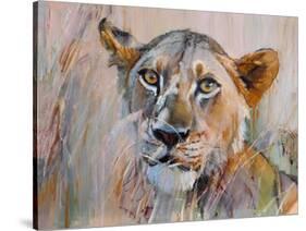 Young Lion in the Grass, 2020, (oil on canvas)-Mark Adlington-Stretched Canvas