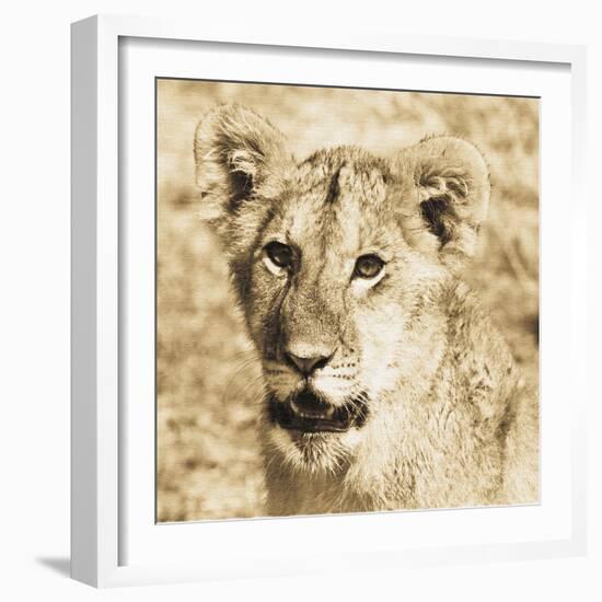 Young Lion-Susann Parker-Framed Photo