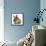 Young Lionhead-Lop Rabbit and Mallard Duckling-Mark Taylor-Framed Stretched Canvas displayed on a wall