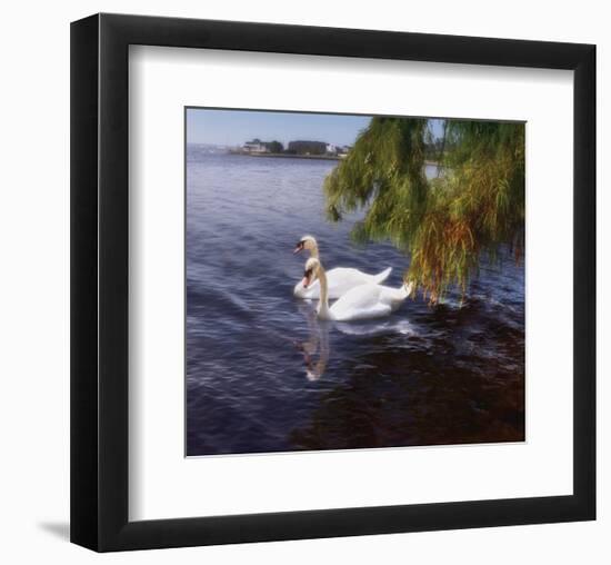 Young Love-Steve Hunziker-Framed Art Print