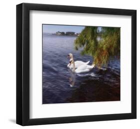 Young Love-Steve Hunziker-Framed Art Print