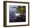 Young Love-Steve Hunziker-Framed Art Print