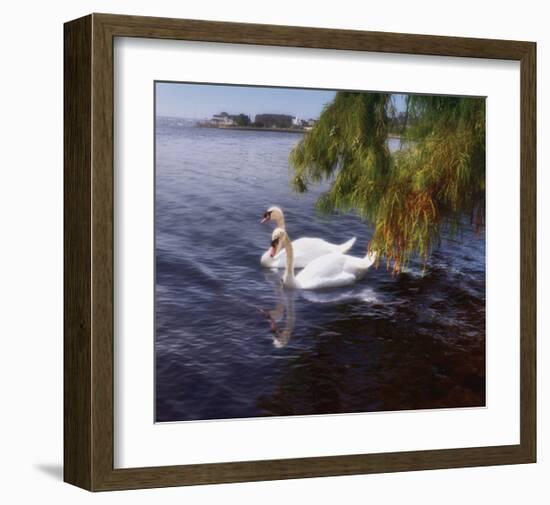 Young Love-Steve Hunziker-Framed Art Print