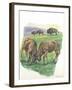 Young Male American Bison Bison Bison Fighting-null-Framed Giclee Print