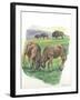 Young Male American Bison Bison Bison Fighting-null-Framed Giclee Print