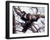 Young Male Chimpanzee, Gombe National Park, Tanzania-Kristin Mosher-Framed Premium Photographic Print