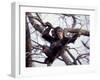 Young Male Chimpanzee, Gombe National Park, Tanzania-Kristin Mosher-Framed Photographic Print