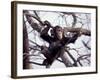 Young Male Chimpanzee, Gombe National Park, Tanzania-Kristin Mosher-Framed Photographic Print