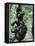 Young Male Chimpanzees Play, Gombe National Park, Tanzania-Kristin Mosher-Framed Stretched Canvas