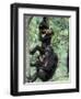 Young Male Chimpanzees Play, Gombe National Park, Tanzania-Kristin Mosher-Framed Photographic Print