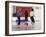 Young Male Coach Coaching Two Female Boxers-null-Framed Photographic Print