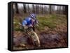 Young Male Recreational Mountain Biker Riding in the Forest-null-Framed Stretched Canvas