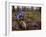 Young Male Recreational Mountain Biker Riding in the Forest-null-Framed Photographic Print