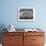 Young Male Southern Elephant Seal Lying in the Sand, Gold Harbor, South Georgia-James Hager-Framed Photographic Print displayed on a wall