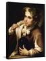 Young Man Drinking-Bartolome Esteban Murillo-Framed Stretched Canvas