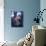 Young Man Exercising with Barbells-null-Photographic Print displayed on a wall