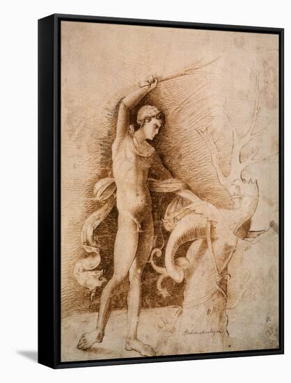 Young Man Fighting the Dragon, Late 15th Century-Andrea Mantegna-Framed Stretched Canvas